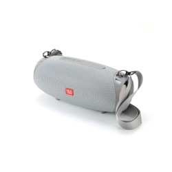 COLUNA SEM FIO T&G TG-534/TG534 FM/AUX/USB/CARTÃO DE MEMÓRIA PRATA COLUNA SEM FIO T&G TG-534/TG534 FM/AUX/USB/CARTÃO DE MEMÓRIA PRATA